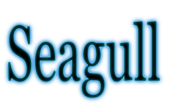 Seagull
